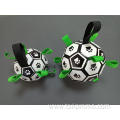 Customized Interactive Pet Soccer